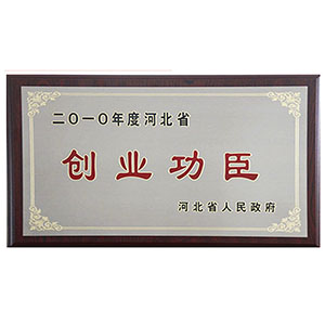 2010年度河北省創(chuàng)業(yè)功臣