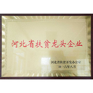 河北省扶貧龍頭企業(yè)